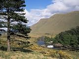 Aasleagh Falls, County Mayo, Connacht, Eire (Republic of Ireland) Photographic Poster Print by Roy Rainford, 12x9