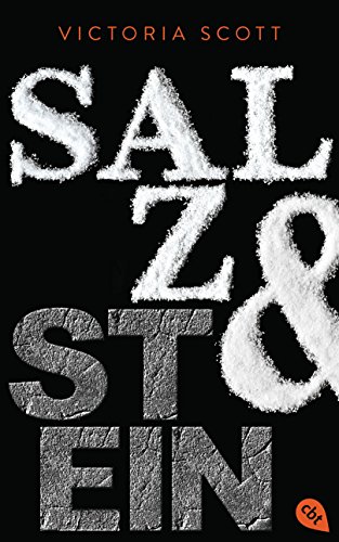 Salz & Stein (Die Feuer & Flut-Romane 2) (German Edition)