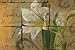 Gold Leaf Amaryllis Art Poster PRINT Susan Eby Glass 36x24