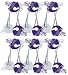 Minnesota VIKINGS NFL Set Bathroom Shower Curtain Hooks Rings