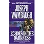 Echoes in the Darkness