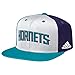 NBA Charlotte Hornets Men's Team Nation Snapback Cap, White, One Size