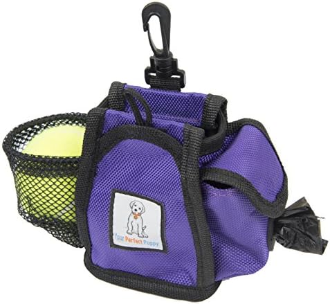 Your Perfect Treat Pouch - Leash Mounted - Poop Bag Dispenser -Tennis Ball Carrier - Velcro Pocket - Magnetic Closing -Purple