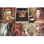 Saudek: Life, Love, Death & Other Such Trifles