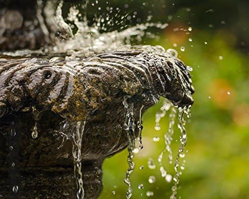 8x10 Canvas Gallery Wrap of Garden Fountain.
