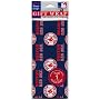 Boston Red Sox Wrapping Paper (Flat w/ Bonus Sheet)
