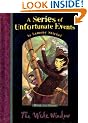 The Wide Window (A Series of Unfortunate Events book 3)