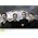 Thumbnail image of Emerson String Quartet