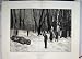 1880 A Gun Duel In France Pistols Men Woods Old Print