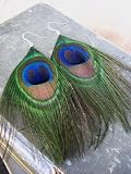 Natural Peacock Feather Fashion Earrings