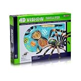 4d Vision Tarantula Spider Anatomy Model Kit