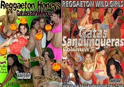 gatassandungueras dvd combo reggaeton honeys y gatas vol.5