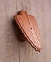 Solid Oak Arrowhead European Mount Pedestal Plaque