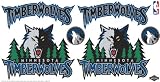 Skinit NBA Minnesota Timberwolves Skinit Car Decals Medium - 49-by-25-Inch
