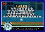 2003 Topps # 641 Florida Marlins TC (Team Photo Card) Florida Marlins - Baseball Card