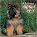 German Shepherd Puppies 2010 Wall Calendar