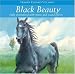 Black Beauty (Children's Audio Classics)