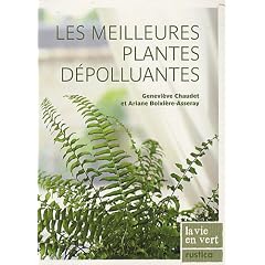 Les meilleures plantes d�polluantes