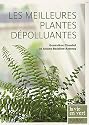 Les meilleures plantes d�polluantes