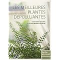 Les meilleures plantes d�polluantes