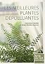 Les meilleures plantes d�polluantes