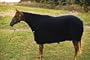 TuffRider Square Fleece Cooler