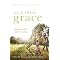 Books for Christian Parents