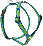 LupinePet 3/4-Inch Tail Feathers 14 to 24-Inch Roman Harness for Dogs, Small to Medium