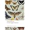 Good popular science books about evolution
