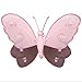 Hanging Butterfly 10