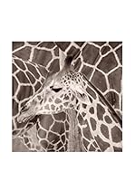 OVVIO Lienzo Pattern