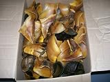 COW HOOVES~BEEF HOOVES~ NATURAL EX. LARGE 20 LBS