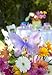 Sequined Hanging Butterfly 3D Wall Décor Size: Small, Color: Light
