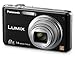 Panasonic Lumix DMC-FH20K 14.1 MP Digital Camera with 8x Optical Image Stabilized Zoom and 2.7-Inch LCD (Black)