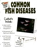 The Super Simple Guide to Common Fish Diseases