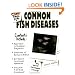 The Super Simple Guide to Common Fish Diseases