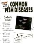 The Super Simple Guide to Common Fish Diseases