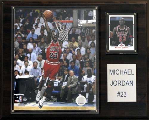 NBA Michael Jordan Chicago Bulls Player Plaque