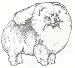 All Products : Dog Rubber Stamp - Pomeranian - 1E