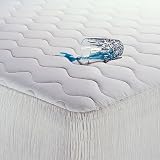 Beautyrest 300TC Waterproof Mattress Pad, Queen by 