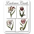 Tulip Images - Set of Four Assorted Gift Cards and Vellum Envelopes