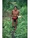Photographic Prints of Mentawai Medicine Man gathering medicinal plants in the rainforest from ArcticPhoto
