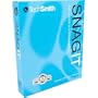 SnagIt V 8.2