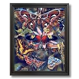Butterfly Butterflies Collage Kids Room Home Decor Wall Picture Black Framed Art Print