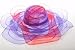 Wide Brim Poly Braid Fashion Hat / Purple & Red / Red Hat Lady Society