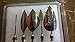 3D Jelly Cake Tools specially -Type 1 - Sunflower - 5 pcs/set