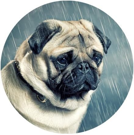 Lonely Pug Dog Personalized Round Mouse Pad