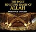 The Wonderful Universe of Allah: Inspiring Thoughts from the Qu'ran on Nature