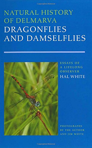 natural history of delmarva dragonflies and damselflies cultural studies of delaware and the eastern shore