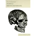 Fossile Menschenreste: Der Weg zum Homo sapiens